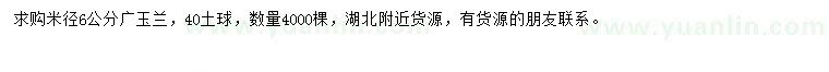 求購(gòu)米徑6公分廣玉蘭