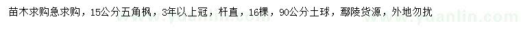 求購15公分五角楓