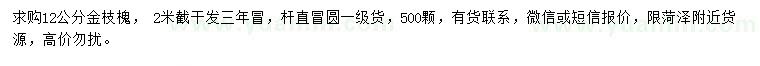 求購12公分金枝槐