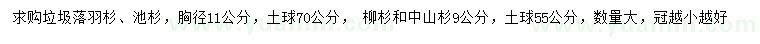 求購垃圾落羽杉、池杉、柳杉等