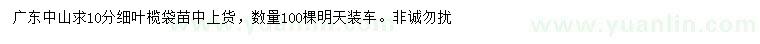 求購10公分細葉欖