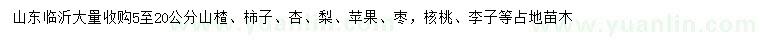 求購山楂、柿子、杏等