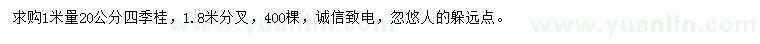 求購1米量20公分四季桂