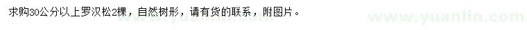 求購30公分以上羅漢松