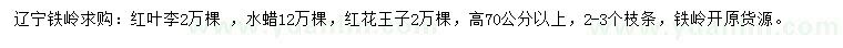 求購(gòu)紅葉李、水蠟、紅花王子