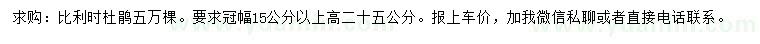 求購冠幅15公分以上比利時杜鵑
