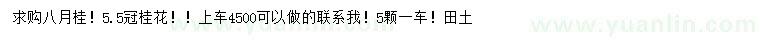 求購(gòu)八月桂