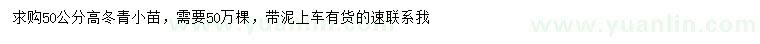 求購高50公分冬青小苗