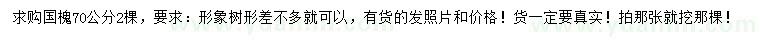 求購(gòu)70公分國(guó)槐
