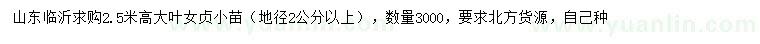 求購高2.5米大葉女貞小苗