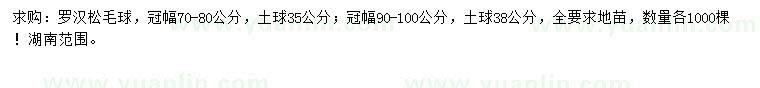 求購冠幅70-80、90-100公分羅漢松毛球