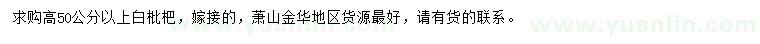 求購高50公分以上白枇杷