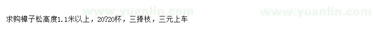 求購高1.1米以上樟子松