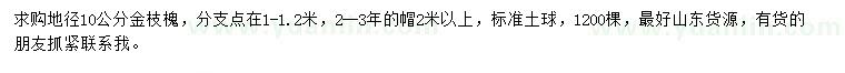 求購地徑10公分金枝槐