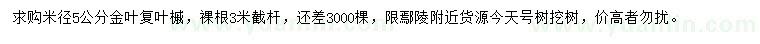求購米徑5公分金葉復葉槭