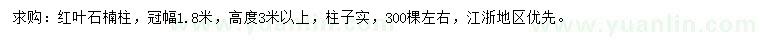 求購(gòu)冠幅1.8米紅葉石楠柱