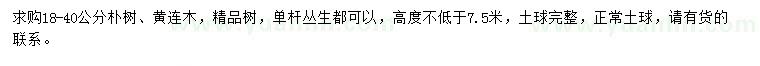 求購(gòu)18-40公分樸樹(shù)、黃連木