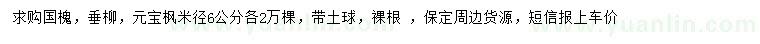 求購國槐、垂柳、元寶楓