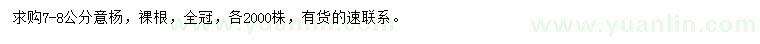 求購7-8公分意楊