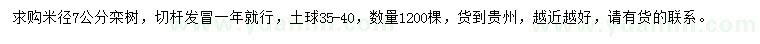 求購(gòu)米徑7公分欒樹(shù)