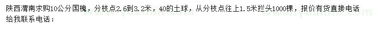 求購10公分國槐
