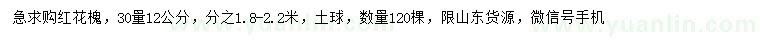 求購(gòu)30量12公分紅花槐