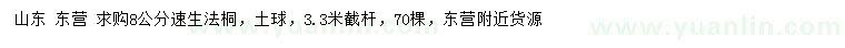 求購8公分速生法桐