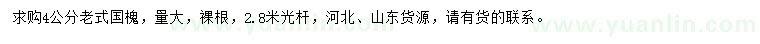 求購4公分老式國槐
