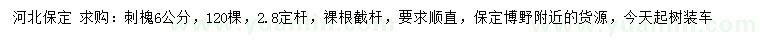 求購(gòu)6公分刺槐