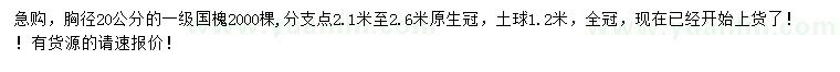 求購胸徑20公分國槐