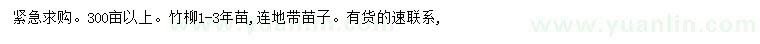 求購1-3年苗竹柳