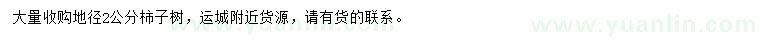 求購地徑2公分柿子樹