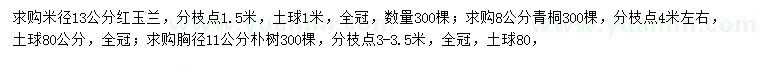 求購紅玉蘭、青桐、樸樹