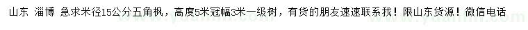 求購米徑15公分五角楓