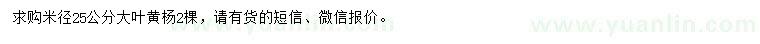 求購(gòu)米徑25公分大葉黃楊
