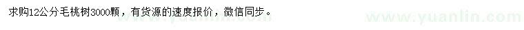 求購12公分毛桃樹