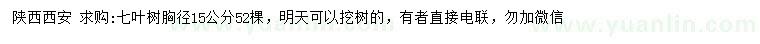 求購胸徑15公分七葉樹