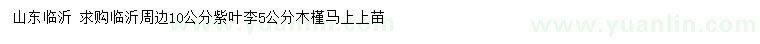 求購10公分紫葉李、5公分木槿