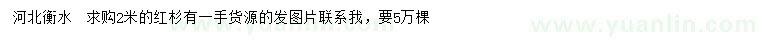 求購2米紅杉