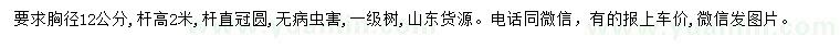 求購胸徑12公分三角楓