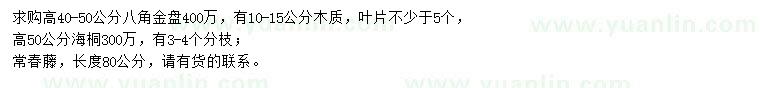 求購八角金盤、海桐、常春藤