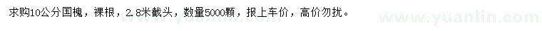 求購10公分國槐