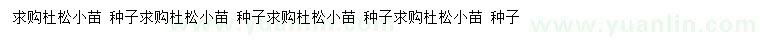 求購杜松小苗種子