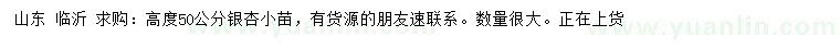 求購(gòu)高50公分銀杏小苗