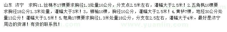 求購絲棉木、五角楓、榔榆等