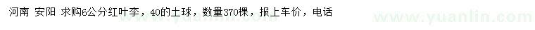 求購6公分紅葉李