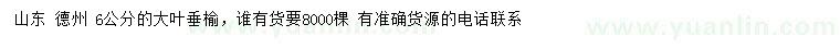 求購(gòu)6公分大葉垂榆