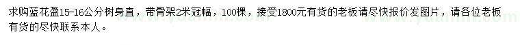 求購(gòu)15-16公分藍(lán)花盈