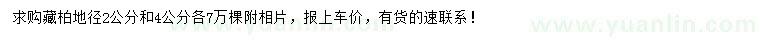 求購地徑2、4公分藏柏