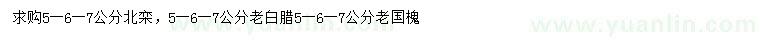 求購(gòu)北欒、老白臘、老國(guó)槐
